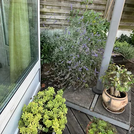 Laferriere 4* 앙굴렘