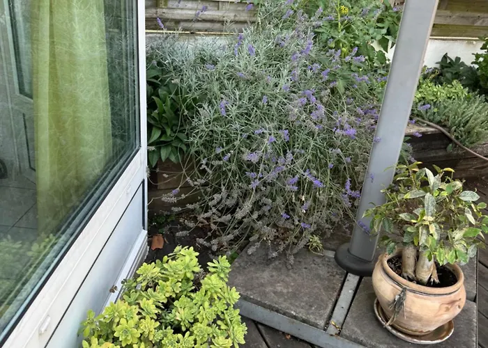 Laferriere 4* Angoulême